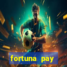 fortuna pay consultoria financeira ltda